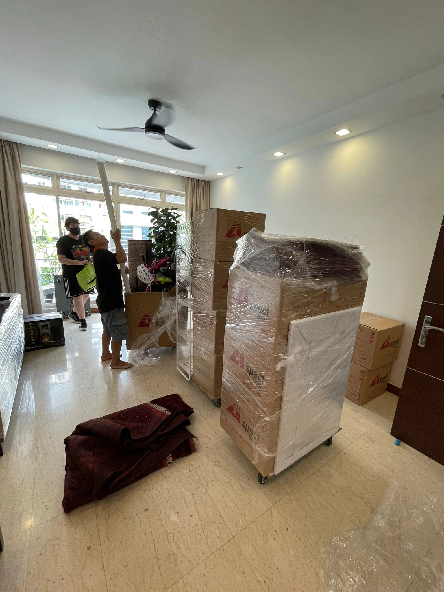 professional home moving service in singapore